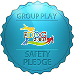 Safety-Pledge-orange-crop Safety-Pledge-orange-crop