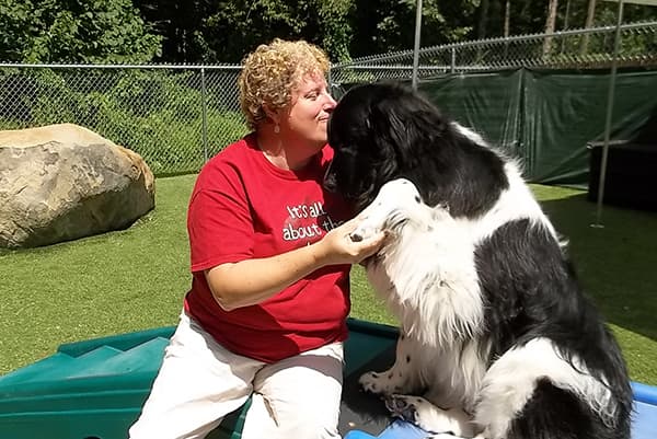 activities-staff-member-playing-with-dog-crop Staff member getting a kiss