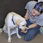 Staff member giving a dog treats