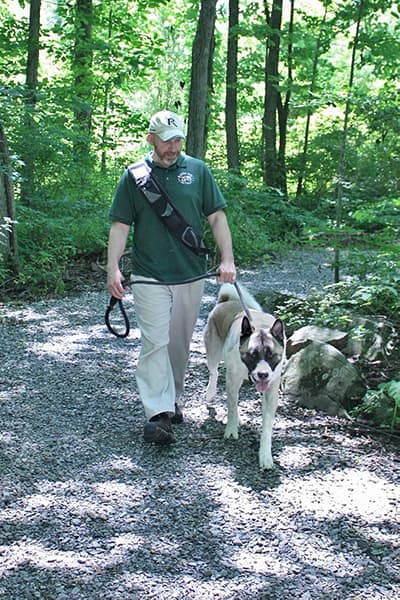 daycare-dog-on-nature-walk-2-crop Dog on a nature walk