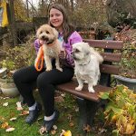 Staff sitting on park bench with two dogs