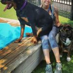 Staff and dog sitting poolside