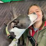 Dog giving staff a kiss