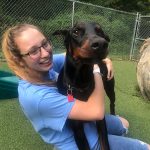 Staff playing with dog