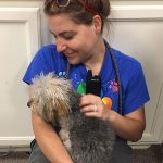 Woman with dog in her lap