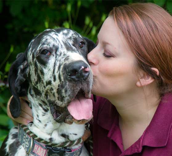 Staff kissing a happy dog