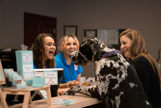 Dog checking in at the front desk