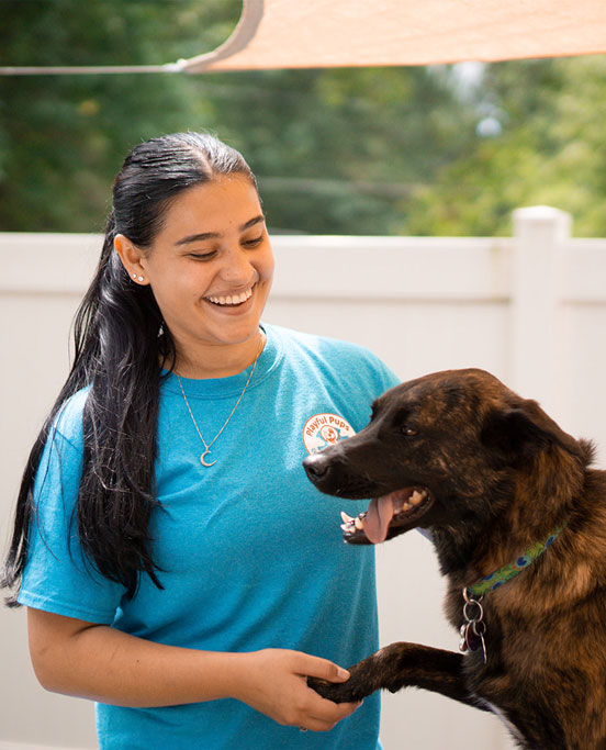 Staff shaking hands with a dog