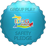 Dog Gurus Safety Pledge