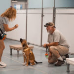 Puppy training