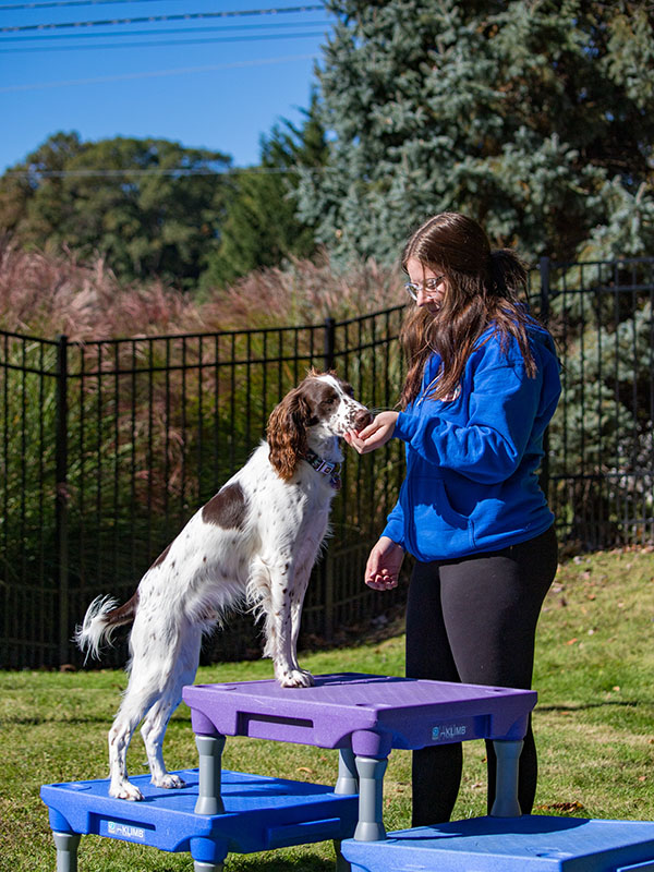 trainer teaching dog with treats