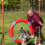Dog trainer training a dog to jump through a hoop