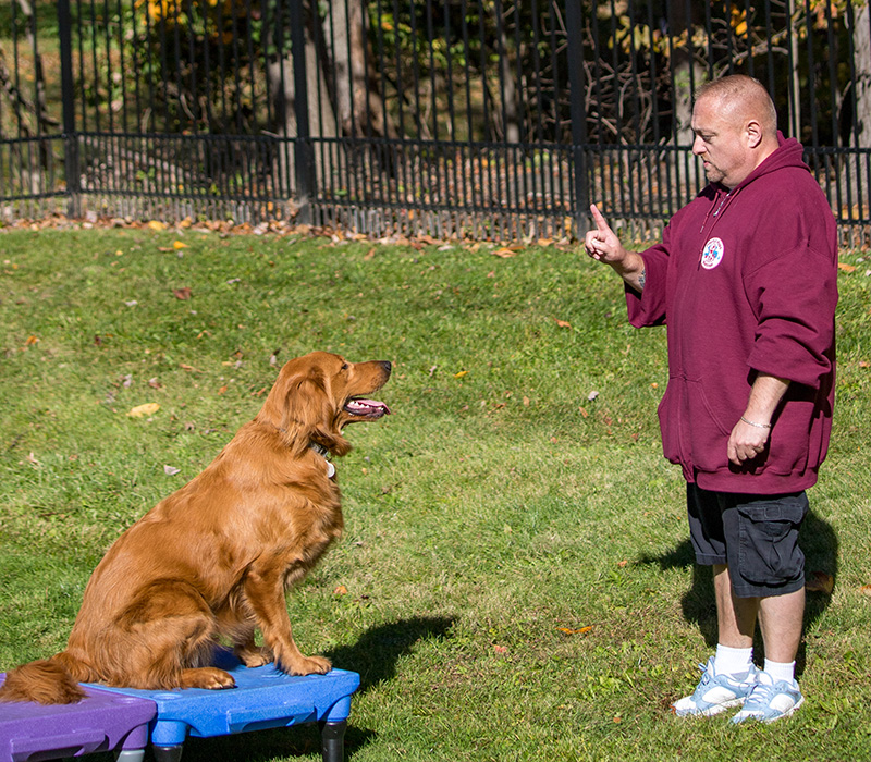 trainer and dog working on hand signals