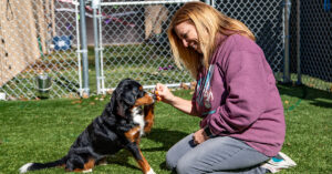 trainer and dog working together