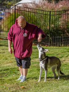 trainer working with a dog with treats