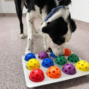 dog playing with an enrichment toy