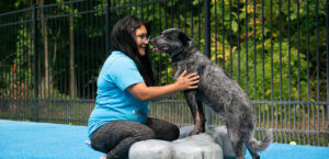 staff member and dog on splash pad