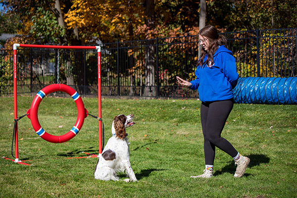 trainer working with a dog outdoors