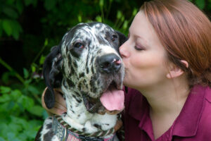 dog getting smooches