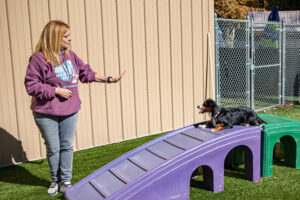 trainer working with a dog