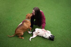 playful pups staff with dogs