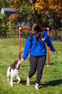 dog trainer with walking dog
