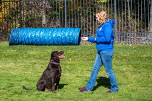 dog trainer with sitting dog