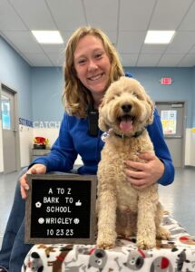 staff memeber with white fluffy dog