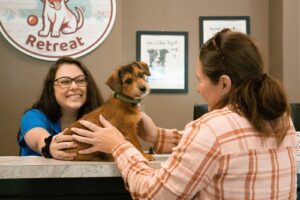 small brown dow with owner checking into playful pups retreat