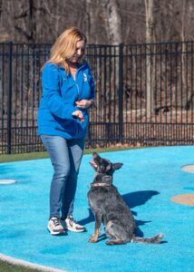 small black dog with trainer