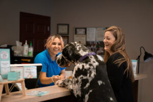 dog and owner checking in at Playful Pups