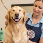 De-matting treatment