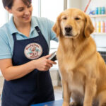 Full service dog grooming