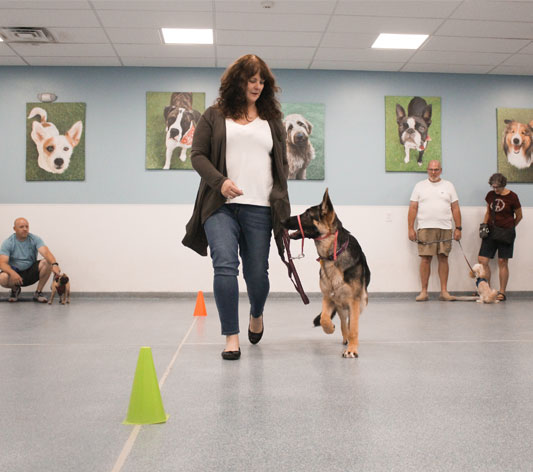 Competition Foundation Class