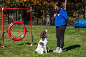 white and brown dog sitting with trainer