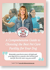 Comprehensive Guide to Choosing the Best Pet Care Facility for Your Dog
