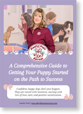 Comprehensive Guide to Getting Your Puppy Started on the Path to Success