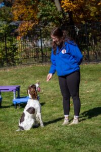 trainer with white and brown dog in sit position