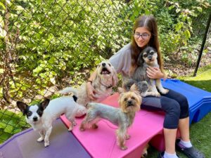 playful pups staff sitting with several small dogs